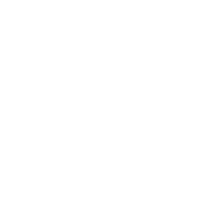 Meriken Flash Mascot